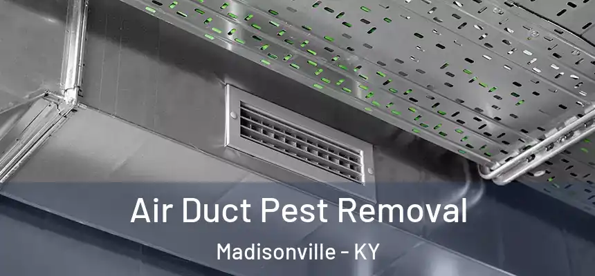 Air Duct Pest Removal Madisonville - KY