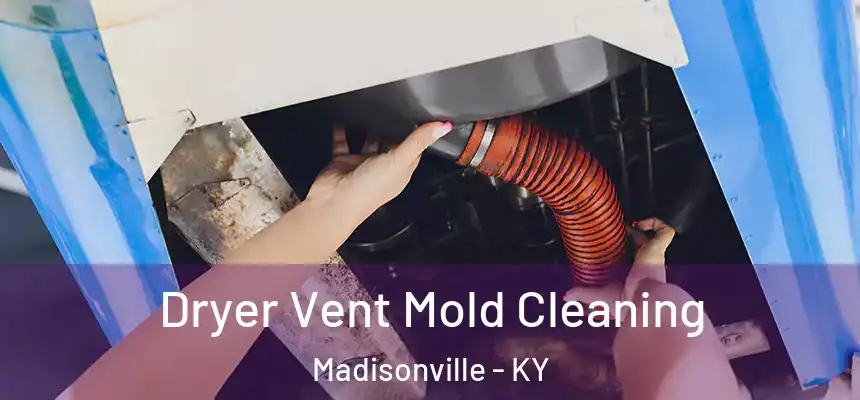  Dryer Vent Mold Cleaning Madisonville - KY