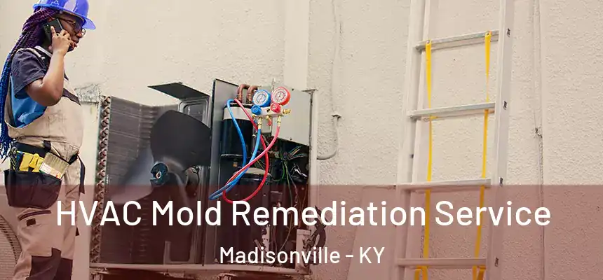  HVAC Mold Remediation Service Madisonville - KY