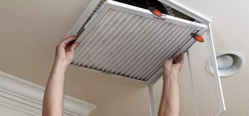 Preventive Cockroach-Proofing for Ducts in Madisonville