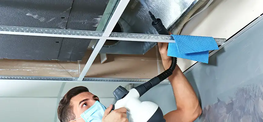 Our Air Duct Rodent Removal Services in Madisonville, KY
