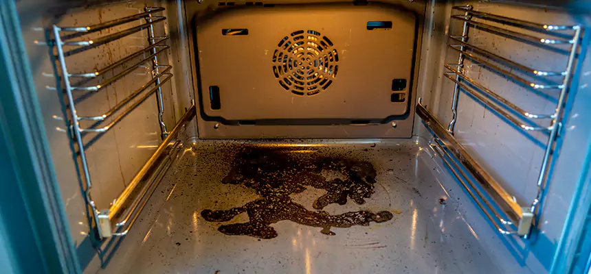 Our Dryer Vent Mold Cleaning Services in Madisonville, KY