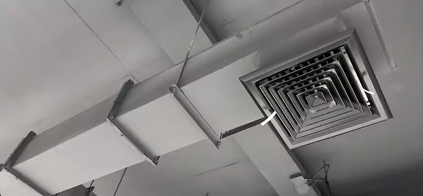 Our Rodent Droppings In Vents Services in Madisonville, KY