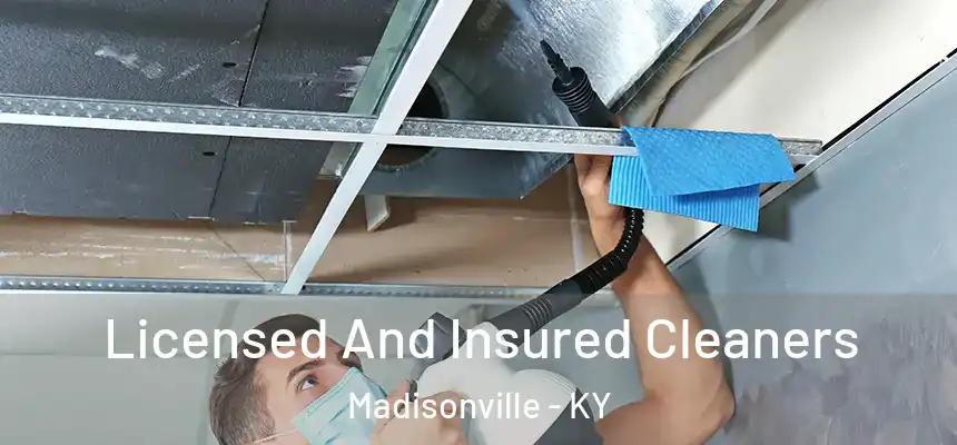  Licensed And Insured Cleaners Madisonville - KY