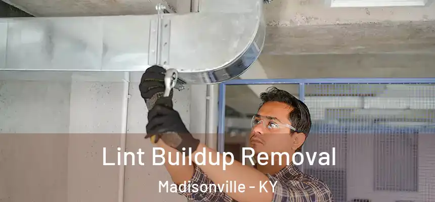 Lint Buildup Removal Madisonville - KY