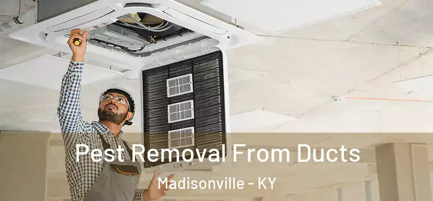  Pest Removal From Ducts Madisonville - KY