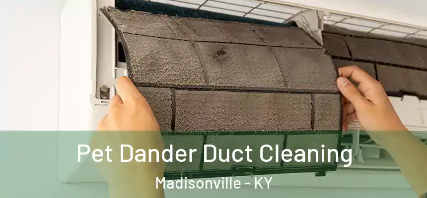 Pet Dander Duct Cleaning Madisonville - KY