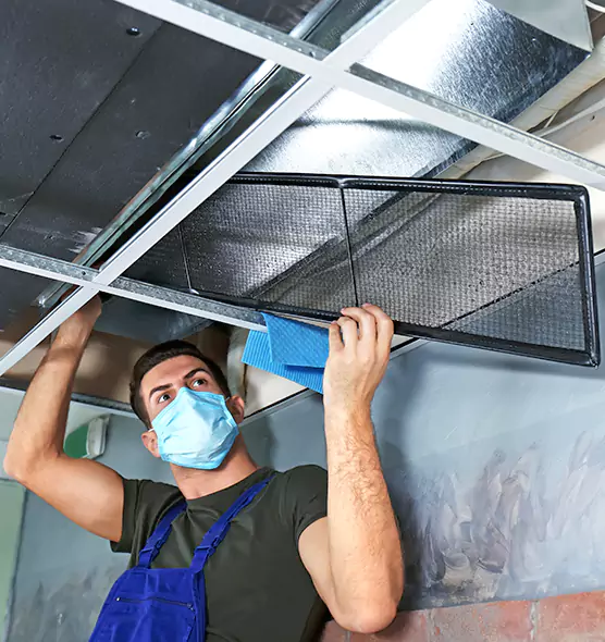 About Air Duct Bacteria Removal in Madisonville