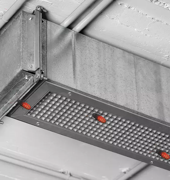 About Air Duct Cockroach Removal in Madisonville, KY
