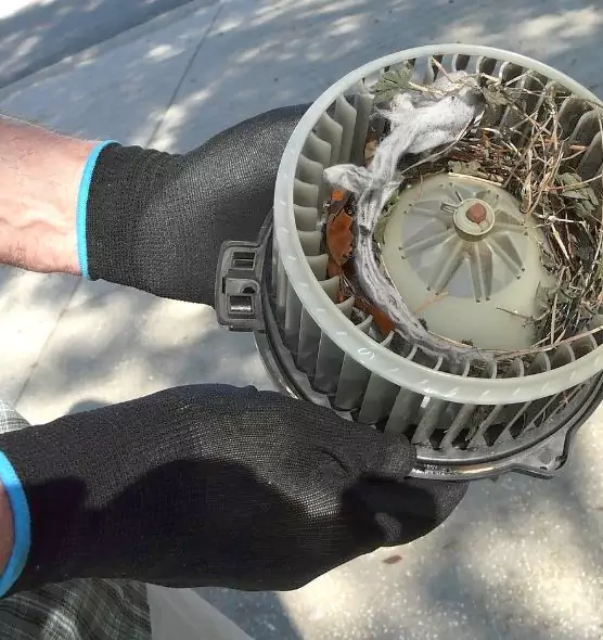 About Air Duct Mice Removal in Madisonville, KY