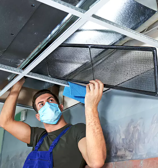 Professional Air Duct Pollen Cleaning in Madisonville, KY