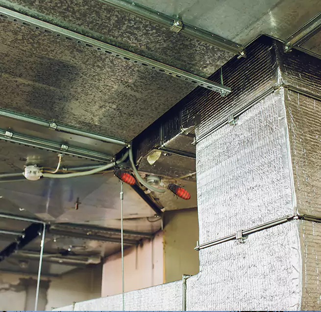 Why Homeowners & Businesses Trust Us in Madisonville, KY?