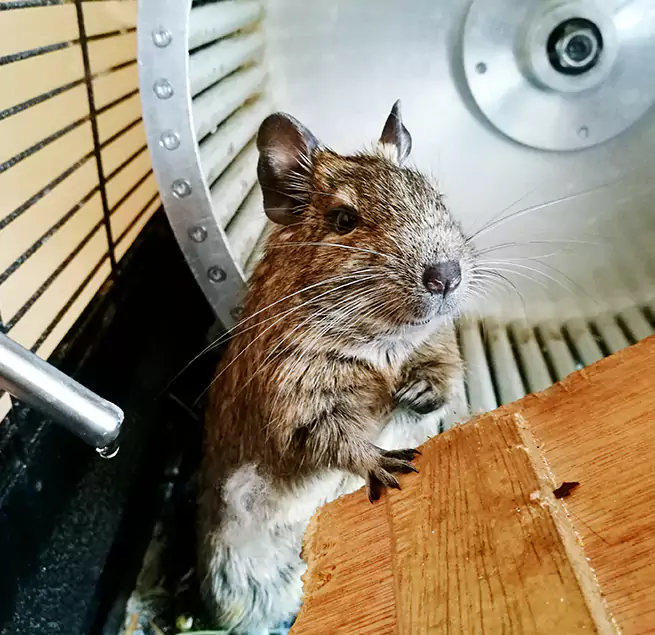 Why Homeowners & Businesses Trust Us Madisonville, KY