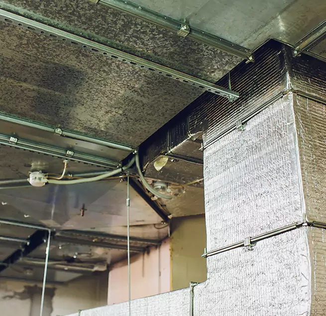 Why Homeowners & Businesses Trust Us in Madisonville, KY?